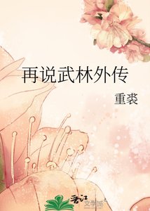 再说武林外传