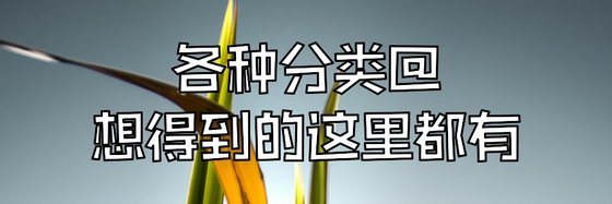 各种分类@想得到的这里都有