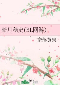 暗月秘史(BL网游）